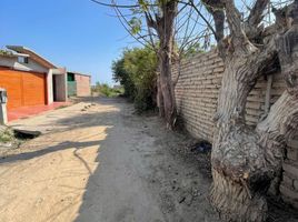  Terreno (Parcela) en alquiler en Ica, Chincha Alta, Chincha, Ica