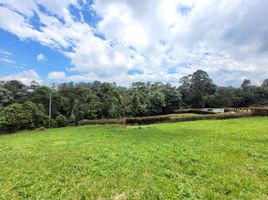  Grundstück zu verkaufen in Pereira, Risaralda, Pereira, Risaralda