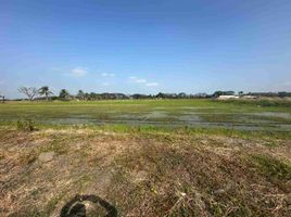  Terreno (Parcela) en venta en Samborondón, Guayas, Samborondon, Samborondón