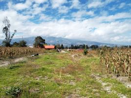  Grundstück zu vermieten in Pedro Moncayo, Pichincha, La Esperanza, Pedro Moncayo