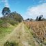  Land for sale in La Esperanza, Pichincha, La Esperanza