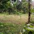  Land for sale in El Nido, Palawan, El Nido