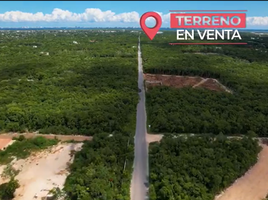  Terrain for sale in Cancun, Quintana Roo, Cancun