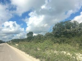 在Campeche出售的 土地, Champoton, Campeche