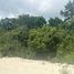 在Campeche出售的 土地, Champoton, Campeche