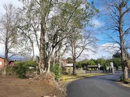  Land for sale in Universidad de la Frontera Campus Pucón, Pucon, Pucon