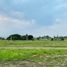  Land for sale in Tlayacapan, Morelos, Tlayacapan