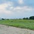  Land for sale in Tlayacapan, Morelos, Tlayacapan
