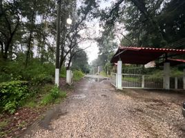  Terreno (Parcela) en venta en Tlalnepantla, Morelos, Tlalnepantla