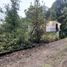  Land for sale in Tlalnepantla, Morelos, Tlalnepantla