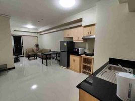 2 Bedroom Apartment for rent in Manila International Airport LRT-1, Pasay City, Pasig City