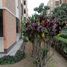 3 Schlafzimmer Appartement zu verkaufen in Santiago De Surco, Lima, Santiago De Surco, Lima, Lima, Peru