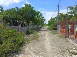  Land for sale in Lapu-Lapu City, Cebu, Lapu-Lapu City