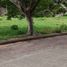  Land for sale in Liloan, Central Visayas, Liloan