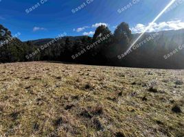  Terreno (Parcela) en venta en Los Ríos, Valdivia, Valdivia, Los Ríos