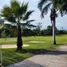  Land for sale in Miacatlan, Morelos, Miacatlan