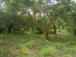  Land for sale in Miacatlan, Morelos, Miacatlan