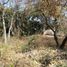  Land for sale in Miacatlan, Morelos, Miacatlan