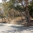  Land for sale in Miacatlan, Morelos, Miacatlan