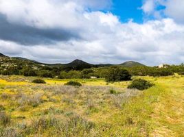  Grundstück zu verkaufen in Tecate, Baja California, Tecate