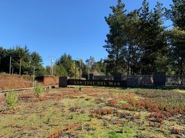  Terreno (Parcela) en venta en Tome, Concepción, Tome