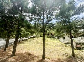  Land for sale in Cavite, Calabarzon, Tagaytay City, Cavite