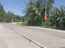  Land for sale in Central Visayas, Bogo City, Cebu, Central Visayas