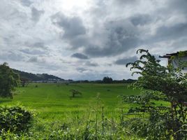  Land for sale in Binangonan, Calabarzon, Binangonan