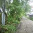  Land for sale in Binangonan, Calabarzon, Binangonan