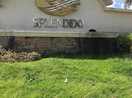  Grundstück zu verkaufen in Laurel, Calabarzon, Laurel