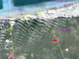 Terrain à vendre à Chicxulub Pueblo, Yucatan, Chicxulub Pueblo