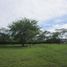  Land for sale in Restrepo, Meta, Restrepo