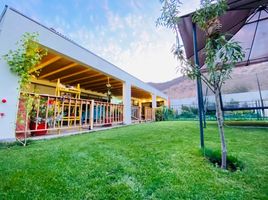 3 Schlafzimmer Haus zu verkaufen in Chacabuco, Santiago, Colina, Chacabuco