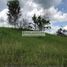  Land for sale in Central Visayas, Getafe, Bohol, Central Visayas