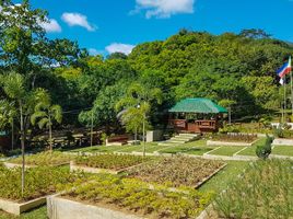 Land for sale in Nasugbu, Calabarzon, Nasugbu