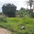 2 침실 주택을(를) Bogor Selatan, 보고에서 판매합니다., Bogor Selatan