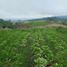  Land for sale in Talakag, Northern Mindanao, Talakag, Bukidnon, Northern Mindanao
