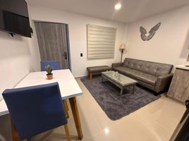 3 Bedroom Apartment for rent in Bare Foot Park (Parque de los Pies Descalzos), Medellin, Medellin