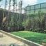 4 Bedroom Villa for sale in Alvaro Obregon, Mexico City, Alvaro Obregon