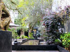 Maison 3 chambre à vendre à Miguel Hidalgo, Mexico City, Miguel Hidalgo