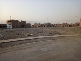  Grundstück zu verkaufen in Carabayllo, Lima, Carabayllo, Lima, Lima, Peru