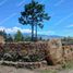  Terreno (Parcela) en venta en Casa Museo Antonio Nariño, Villa De Leyva, Villa De Leyva