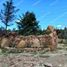  Terreno (Parcela) en venta en Casa Museo Antonio Nariño, Villa De Leyva, Villa De Leyva