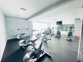멕시코 시티PropertyTypeNameBedroom, 미구엘 히달고, 멕시코 시티