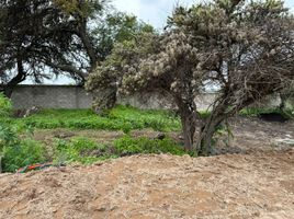  Terreno (Parcela) en venta en Huimilpan, Querétaro, Huimilpan