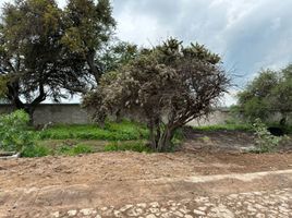  Terreno (Parcela) en venta en Huimilpan, Querétaro, Huimilpan