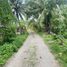  Land for sale in Sibulan, Negros Oriental, Sibulan