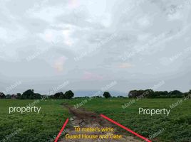  Land for sale in Calatagan, Batangas, Calatagan