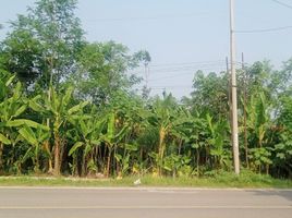  Land for sale in Banten, Sajira, Lebak, Banten