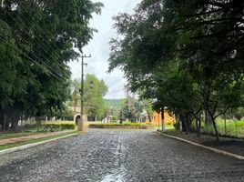Terrain à vendre à Tlajomulco De Zuniga, Jalisco, Tlajomulco De Zuniga